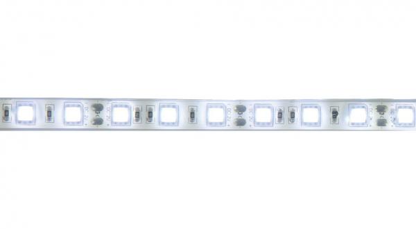 Décoration lumineuse Starway TapeKolor 60 Daylight IP68 fond blanc