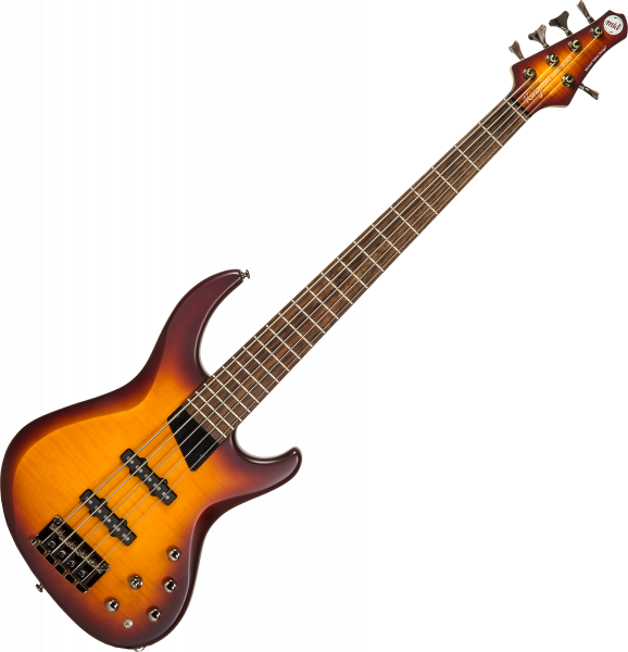 Solid body electric bass Mtd Kingston Saragota Deluxe KSDX5LA 5-String - cherry burst