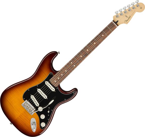 Guitare électrique solid body Fender Player Stratocaster Plus Top (MEX, PF) - Tobacco burst